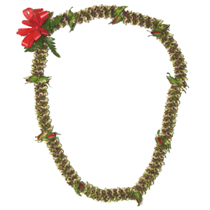 Green  Leilani Orchid Lei with Red Rose