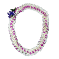 Fancy Orchid Lei (White Fancy)