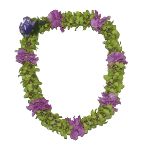 Orchid Lei (Double, Green with Vanda Orchid Lei)