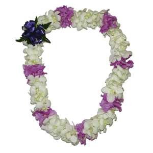 Orchid Lei (Double, White with Sections of Lavender Orchid Lei)