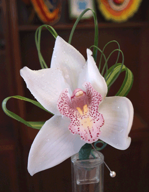 Flower Boutonniere - Cymbidium