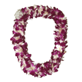 Ginger Lei (Triple mix with purple orchid)