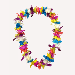 Orchid Lei  Single - Rainbow